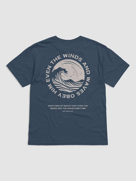 111 - WINDS AND WAVES